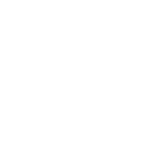 SWT_white-1-300x300.png
