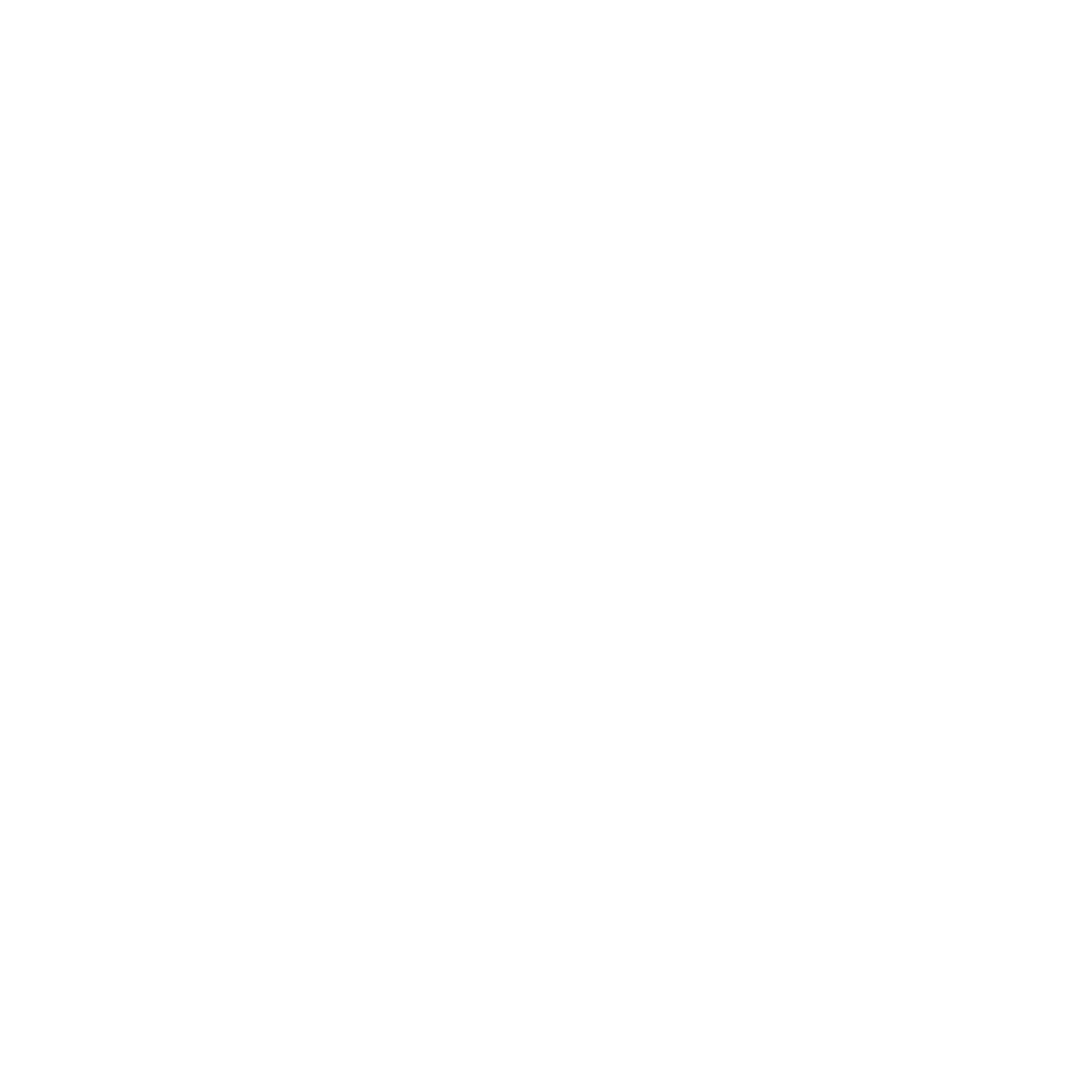 TechnischeBetriebeSolingen-Logo.png