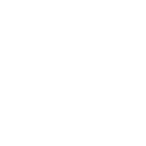 WWZ_white-300x300.png