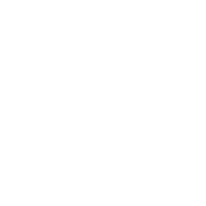 swp-300x300.png